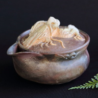 Teruhiko Omori, white dragon houhin, non-glazed wood-fired pottery kyusu, tebineri Bizenyaki teapot